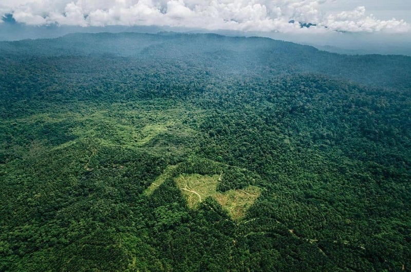 Jelajah Alam di Tanam Nasional Gunung Leuser | Indonesia Traveler