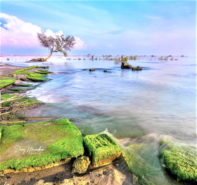 Menikmati Keindahan Pantai Tanjung Pasir