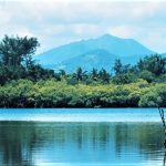 Hutan Mangrove Gili Meno, Photo by @setiawati80