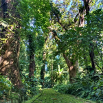 Sibolga, TWA Sibolga, Photo by @TWA_Sibolangit1