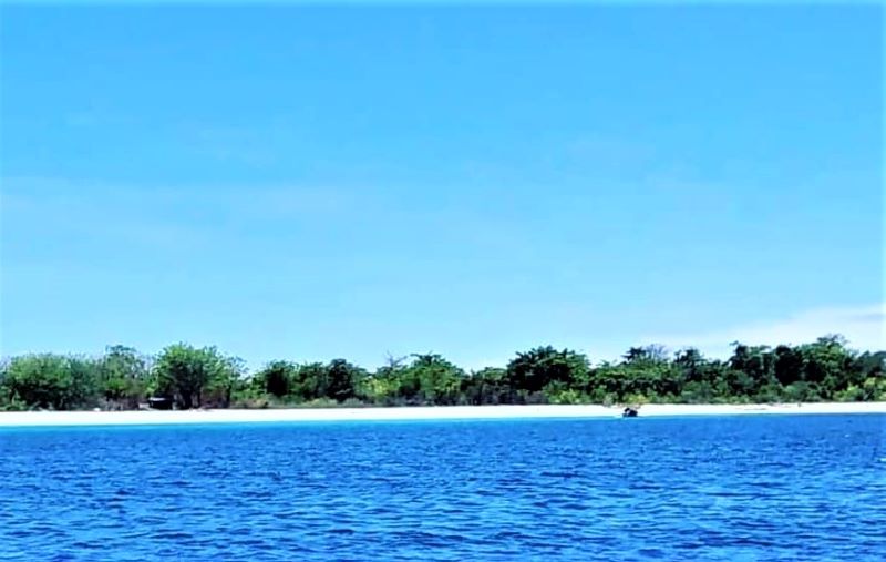 Teluk Tomini