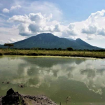 Banyuwangi, Taman Nasional Baluran, Photo by @tamannasional_Baluran