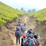 Garut, Kebun Teh Dayeuh Manggung, Photo by @triamou