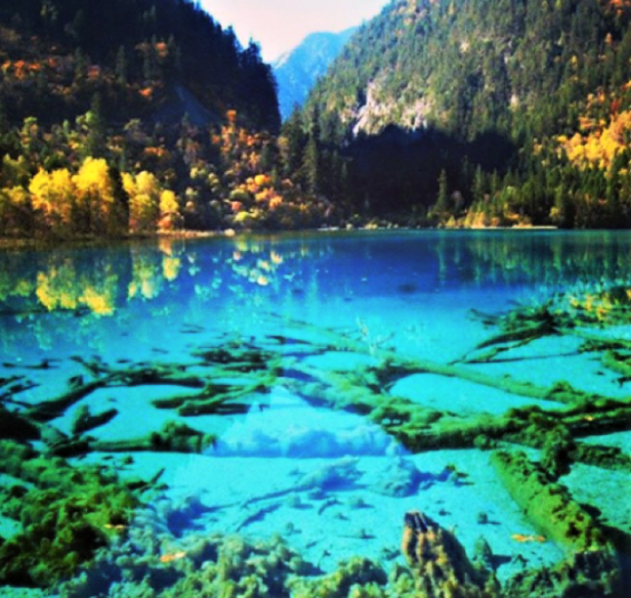 Crystalline Turquoise Lake di Jiuzhaigou
