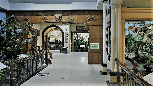 Rahmat International Wildlife Museum and Galery