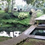 Lampung, Taman Purbakala Pugung Raharjo – Kolam Megalitik
