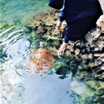 Sulawesi Tenggara, Pantai Meleura Raha, Photo by @eny_103