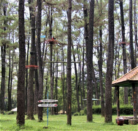 Liburan Seru di Taman Wisata  Alam  Punti Kayu site  