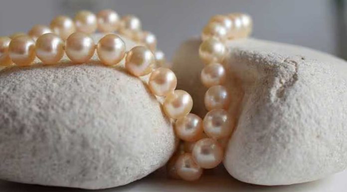 Rekomendasi Oleh-oleh Khas Ambon yang Praktis untuk Dibawa Pulang