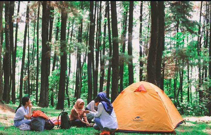 Memanjakan Mata di Taman Wisata Alam Gunung Pancar