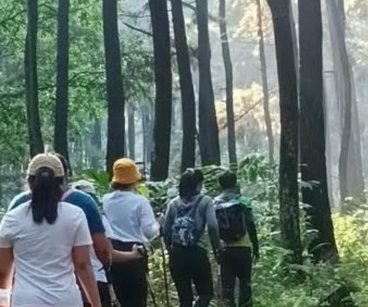 Memanjakan Mata di Taman Wisata Alam Gunung Pancar