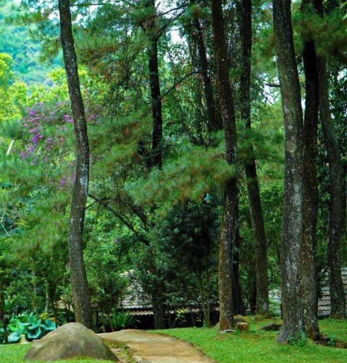 Memanjakan Mata di Taman Wisata Alam Gunung Pancar