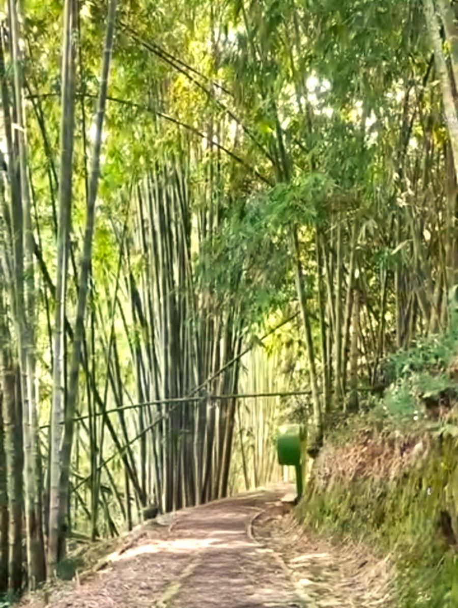 Air Terjun Sekar Langit dengan Legenda Jaka Tarub