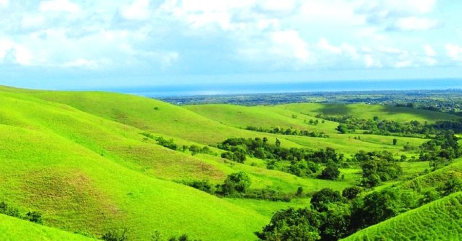 Sensasi Keindahan Bukit di Sumba