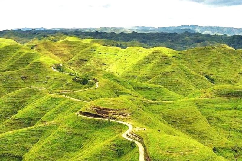 Sensasi Keindahan Bukit di Sumba