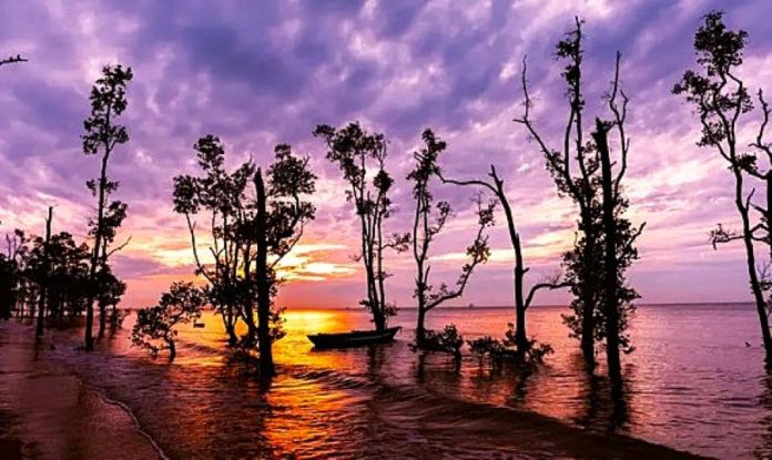 Pantai Ambalat, Pantai Unik nan Cantik dengan Barisan Pohon Pinus