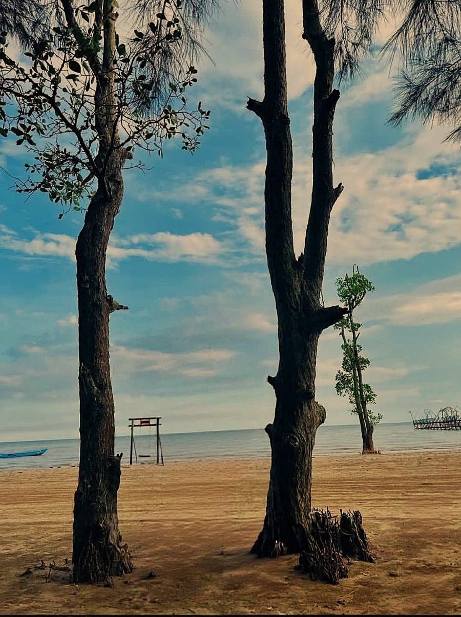 Pantai Ambalat, Pantai Unik nan Cantik dengan Barisan Pohon Pinus