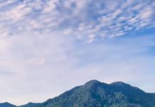 Menikmati ‘Keajaiban Musiman’ di Danau Sentarum Menikmati ‘Keajaiban Musiman’ di Danau Sentarum