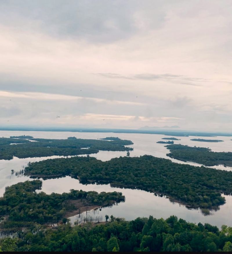 Menikmati ‘Keajaiban Musiman’ di Danau Sentarum