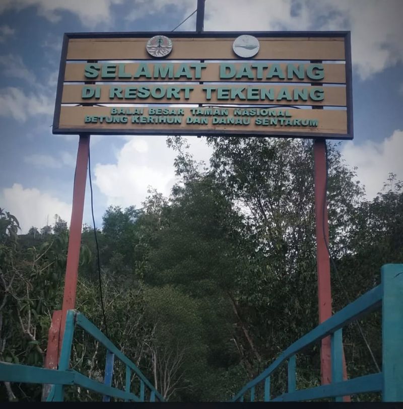 Menikmati ‘Keajaiban Musiman’ di Danau Sentarum