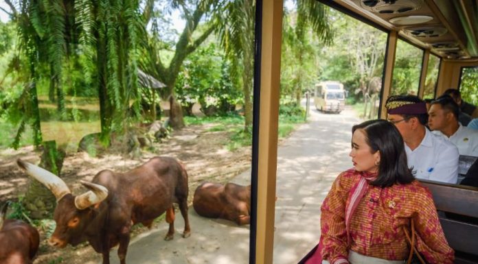 Menpar Pastikan Kualitas Layanan Taman Safari Bali Tetap Prima Pascalebaran Menpar Pastikan Kualitas Layanan Taman Safari Bali Tetap Prima Pascalebaran