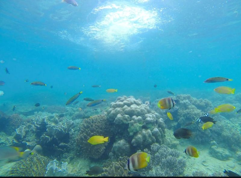 Pulau Beras Basah yang Menakjubkan!