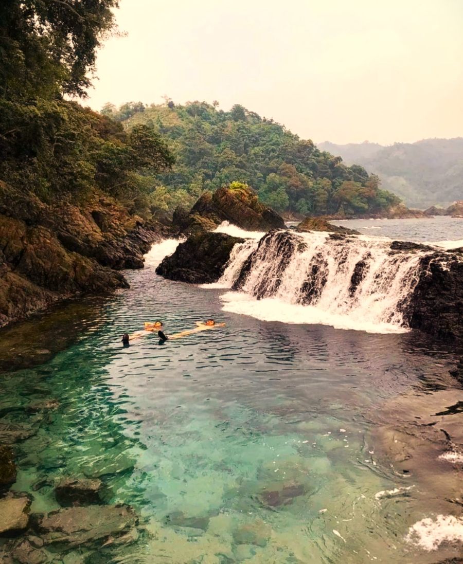 Serunya Menyaksikan Lumba-Lumba Liar di Teluk Kiluan