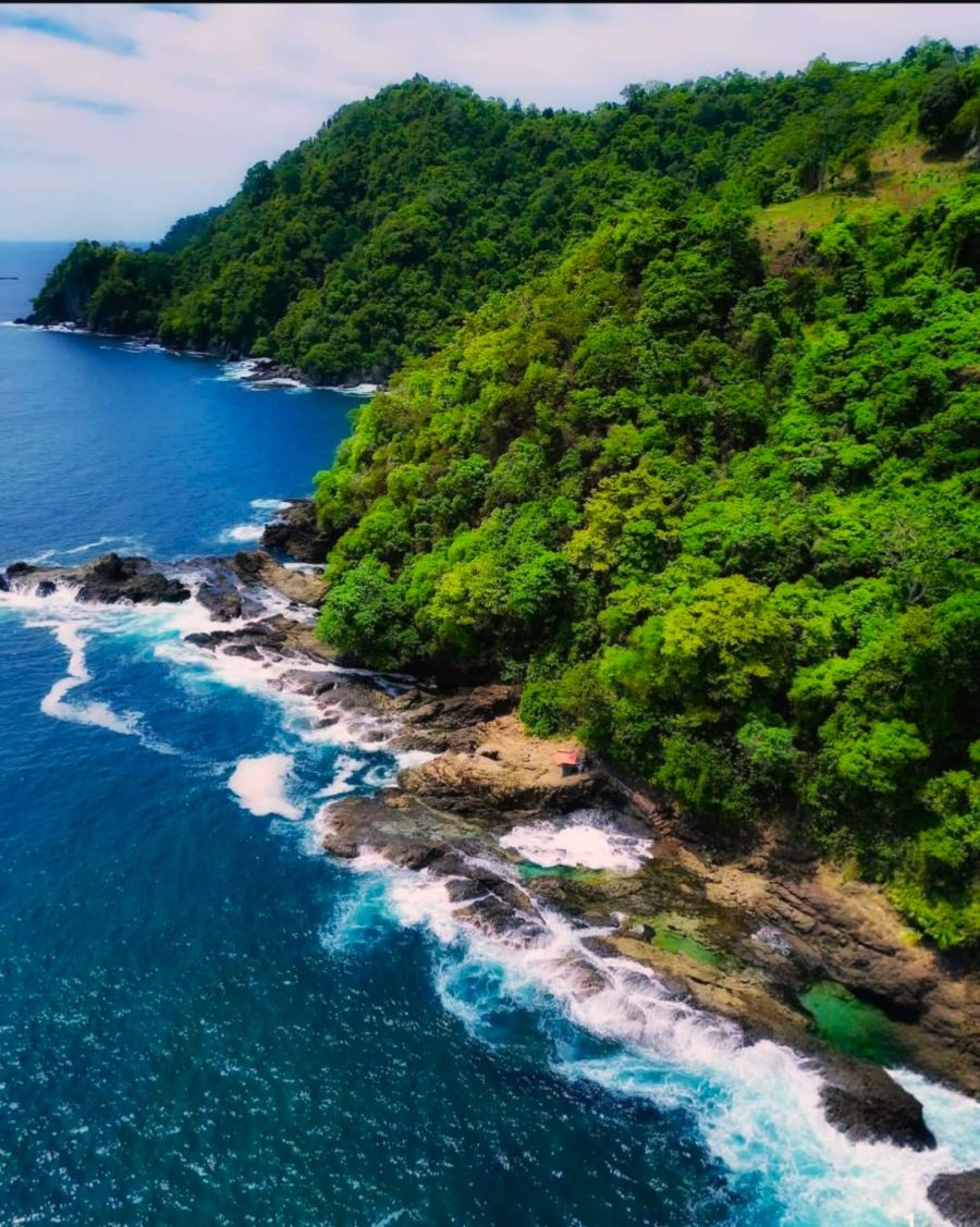 Serunya Menyaksikan Lumba-Lumba Liar di Teluk Kiluan
