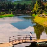 Suasana Klasik nan Romantis di Telaga Saat Suasana Klasik nan Romantis di Telaga Saat